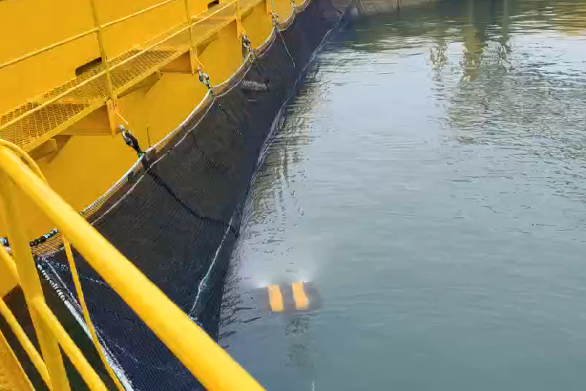 January 6, 2024: Offshore Ranch Net Cage Inspection