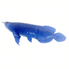 Intelligent Soft-Bodied Bionic Arowana