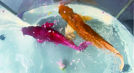 Bionic robot fish应用主图.jpg