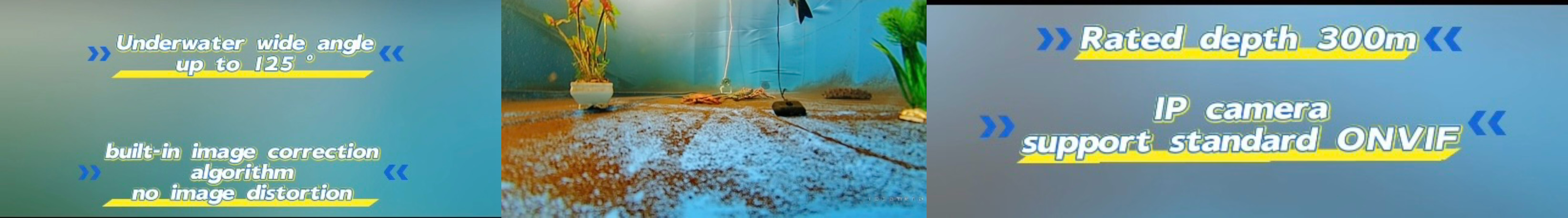 鱼眼相机水下效果.jpg