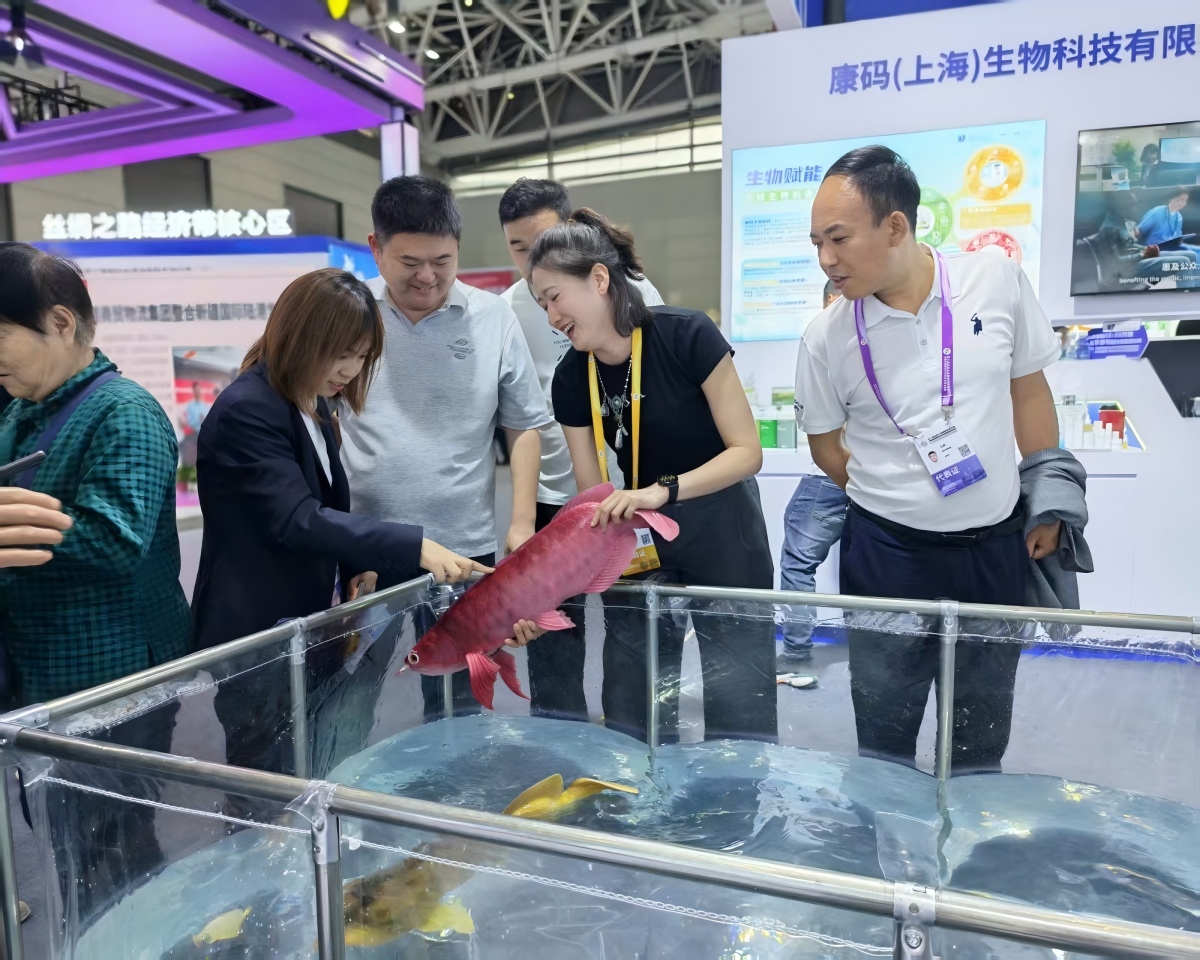 西安展会.jpg