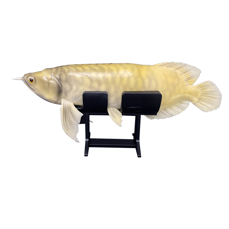Bionic Robot Fish Application