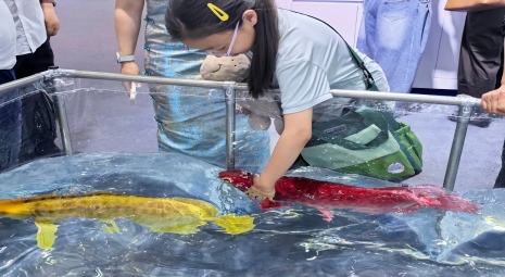 西安展会（官网缩略图）1.jpg