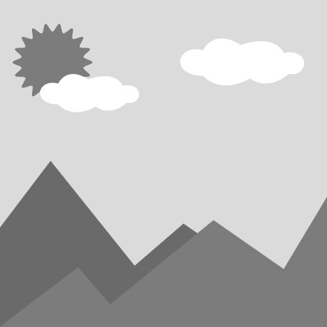 Bio-inspired Robotic Fish